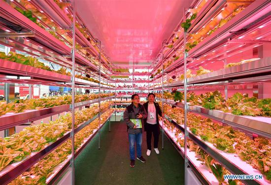 Agricultural hi-tech fair in China attracts int'l participa